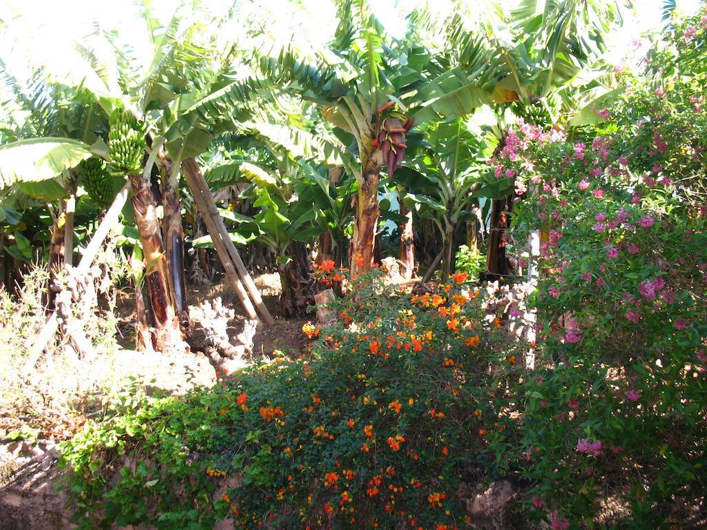 Quinta Sao Goncalo Villa Funchal  Dış mekan fotoğraf